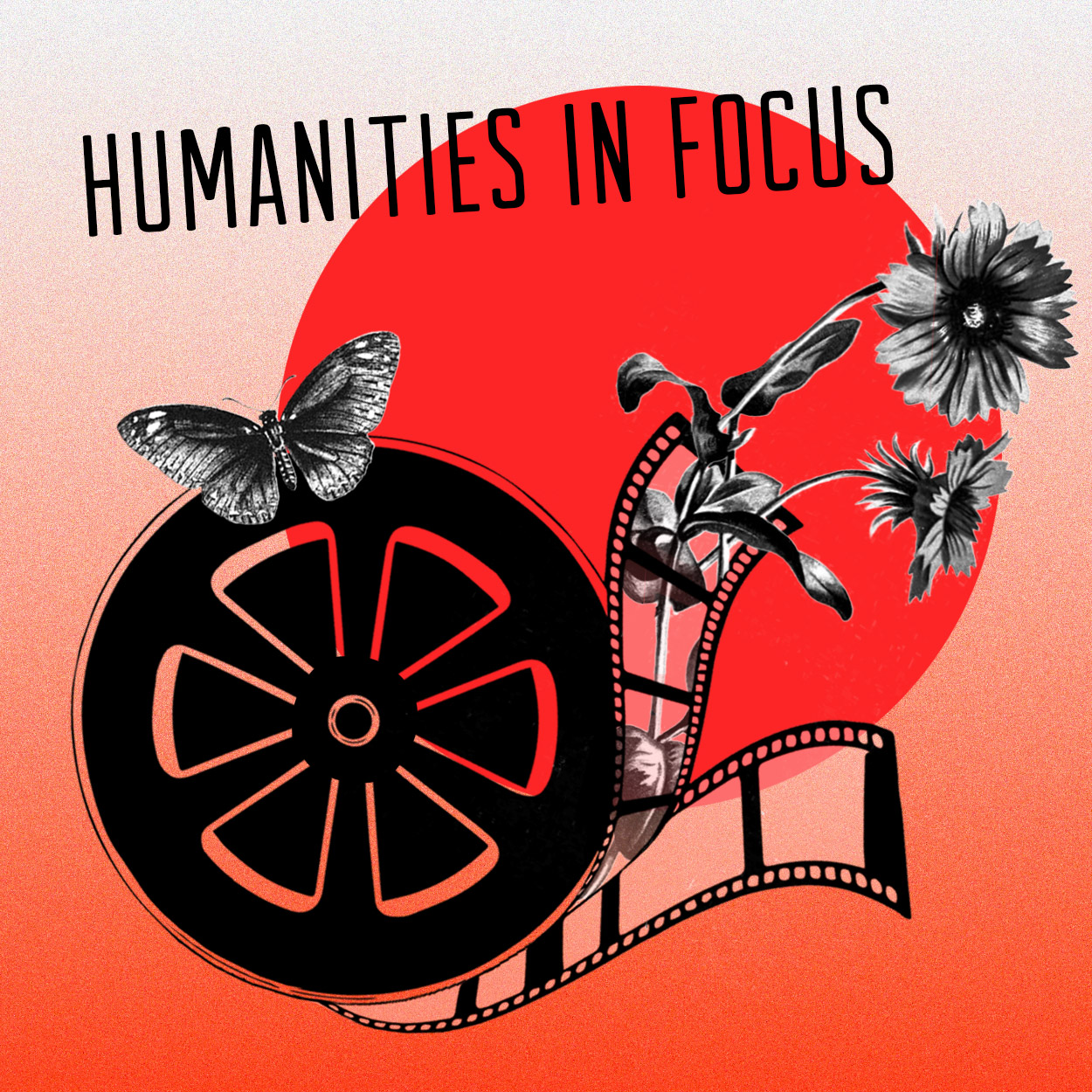 Humanities in Focus