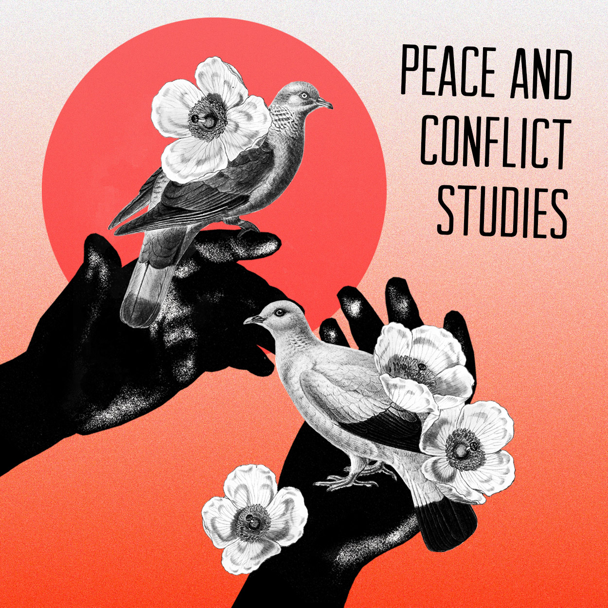 Peace and Conflict Studies